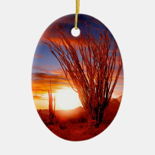 Deserts Ocotillo Sonora Arizona Ceramic Tree Decoration (Front)