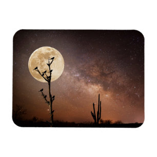 Deserts   Saguaro Cactus With Birds in Desert Magnet