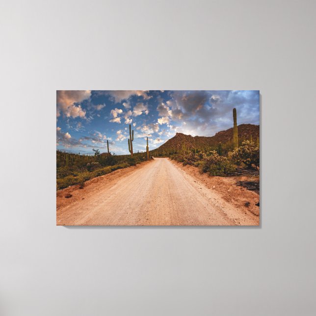 Deserts | Saguaro National Park Arizona Canvas Print (Front)