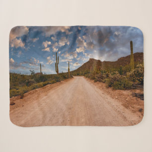 Deserts Saguaro National Park Arizona Sherpa Blanket