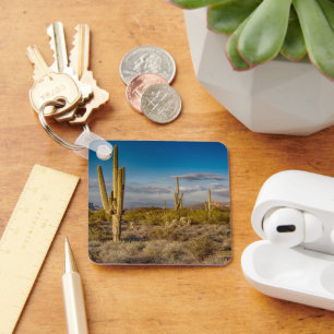 Deserts Superstition Mountains, Arizona Key Ring