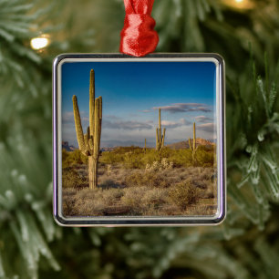 Deserts Superstition Mountains, Arizona Metal Tree Decoration