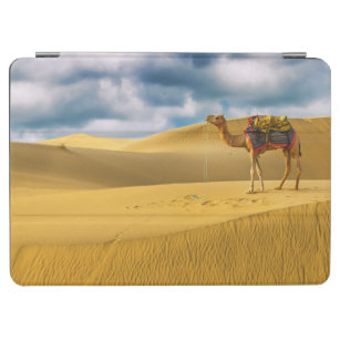 Deserts   Thar Desert Rajasthan India Camel iPad Air Cover