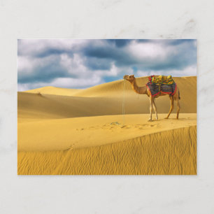 Deserts   Thar Desert Rajasthan India Camel Postcard