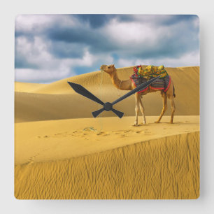 Deserts Thar Desert Rajasthan India Camel Square Wall Clock