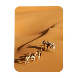 Deserts Tuareg Walk with Camels Magnet