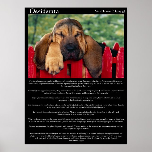 Desiderata Bloodhound Posters (Front)