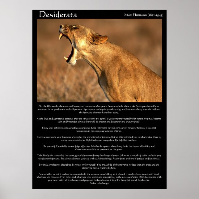 Desiderata cougar showing his teeth poster (Front)