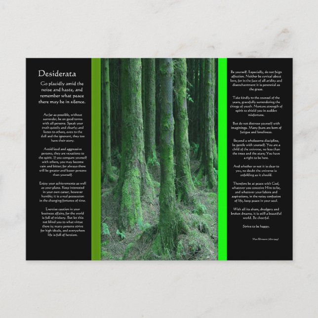 DESIDERATA Dark Mossy Forest Postcard (Front)