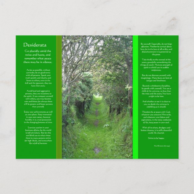 DESIDERATA Grass Road Postcard (Front)