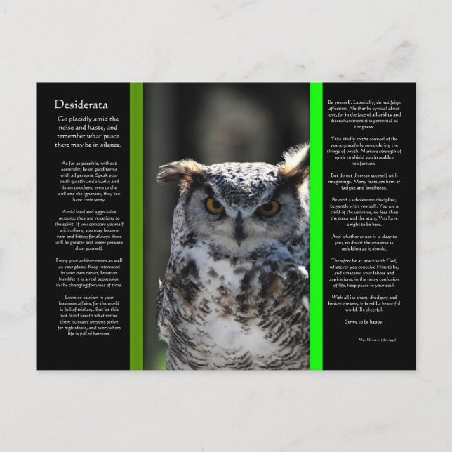 DESIDERATA Great Horn Owl Postcard 5 (Front)
