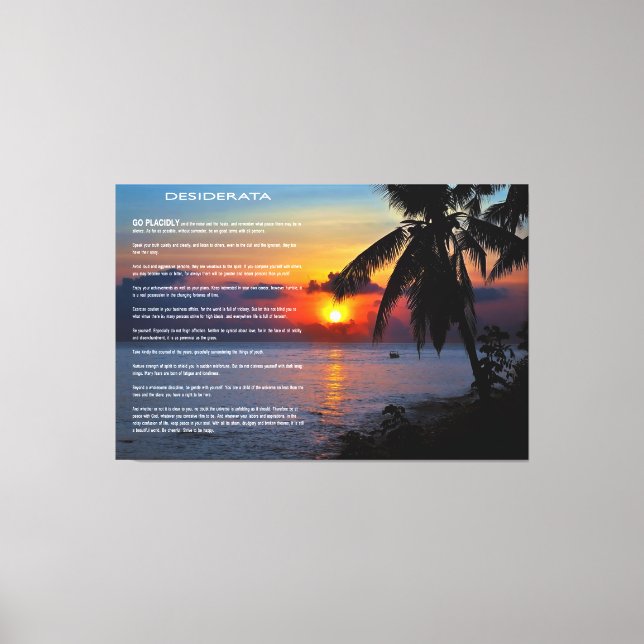 DESIDERATA Paradise Canvas Print (Front)
