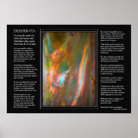 Desiderata poem - Eucalyptus Tree Bark