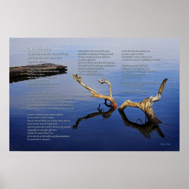 Desiderata Poem on Lake's Edge poster (Front)