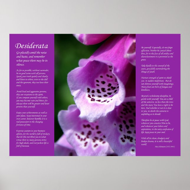 Desiderata - Purple Foxglove Poster (Front)