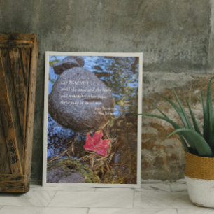 Desiderata Verse Fallen Leaf on Water Photographic Poster