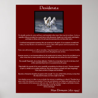 Desiderata white arabian horse Posters