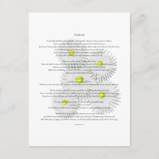 Desiderata with Daisies Postcard