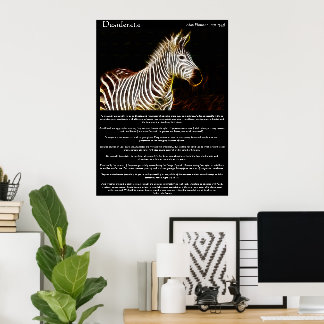 Desiderata Zibra Poster