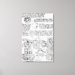 Design for a palace and park canvas print