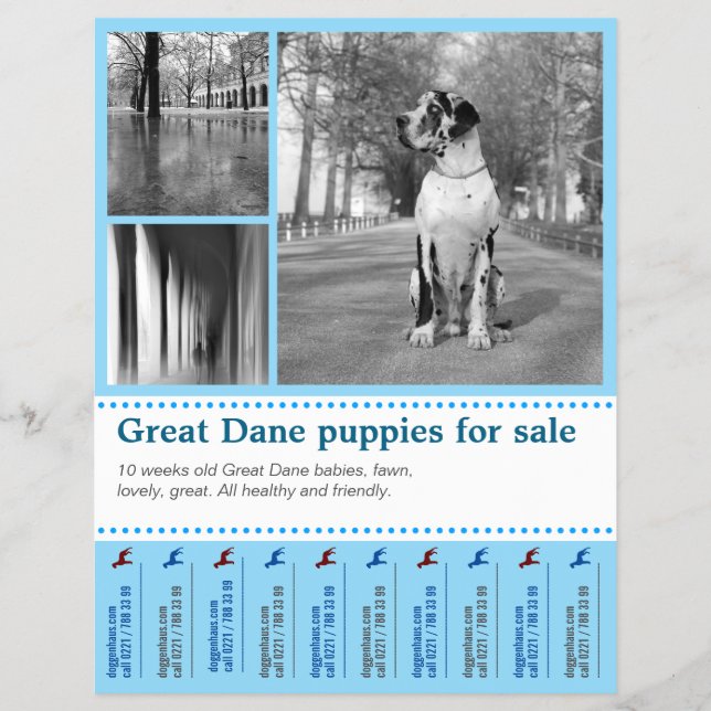 Design Selling Puppy Flyer (Front)