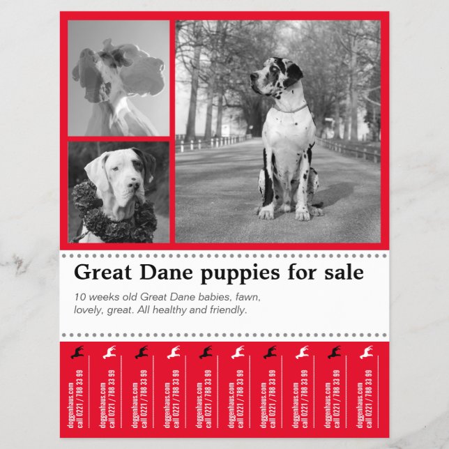 Design Selling Puppy Flyer (Front)