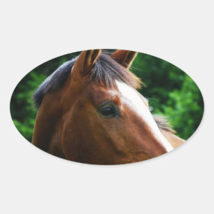 Design your own Custom Photo Stickers Oval Shape