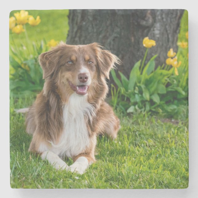 Design Your Own Custom Photo Stone Coaster (Front)