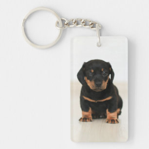 Design Your Own Pet Memory Photo Collage Key Ring