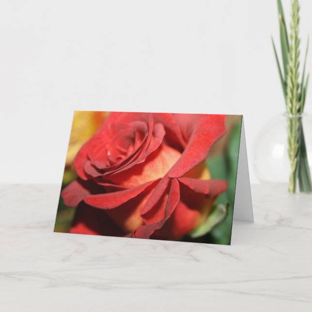 DESIGNER BURNT RED ROSE NOTE CARDS (Front)