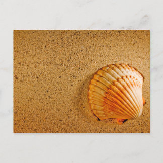Designer Save The Dates Card