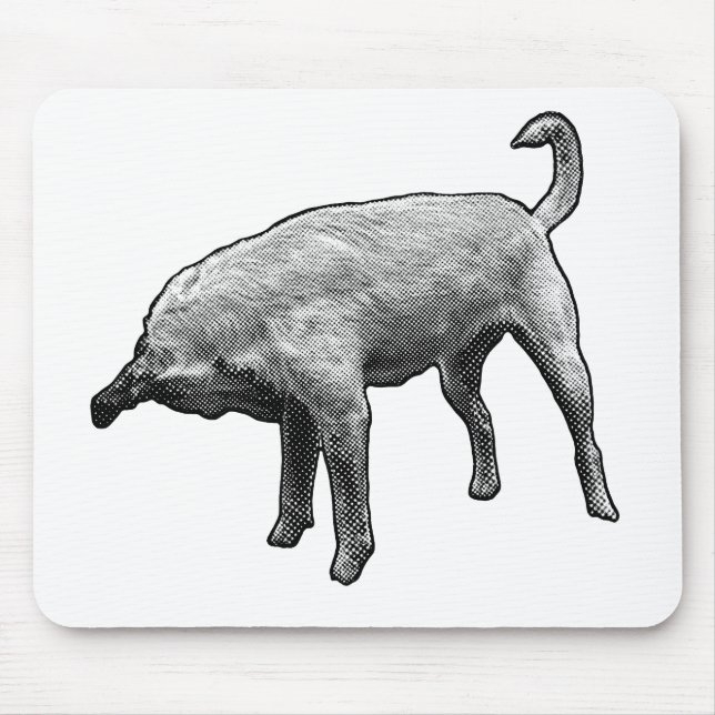 Desk Buddy with a Nose-Tuck Mouse Pad (Front)