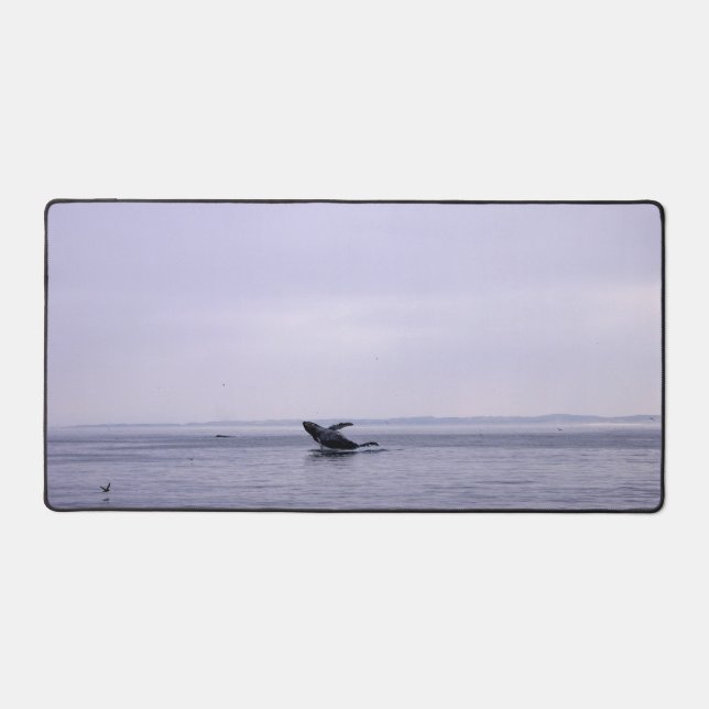 Desk Mats with A Humpback Whale Breaching (Front)