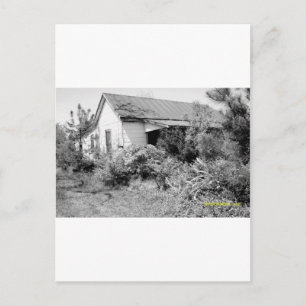 DESOLATION POSTCARD