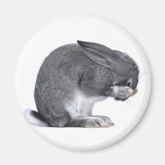 Despairing Rabbit Magnet