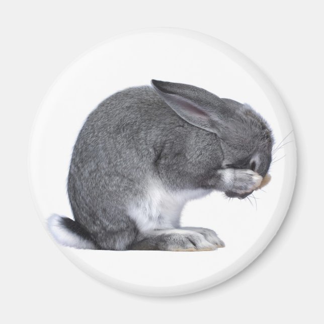Despairing Rabbit Magnet (Front)