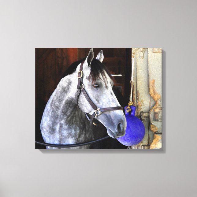 Destin Canvas Print (Front)