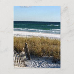 Destin Dreaming Postcard