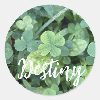 Destiny Sticker