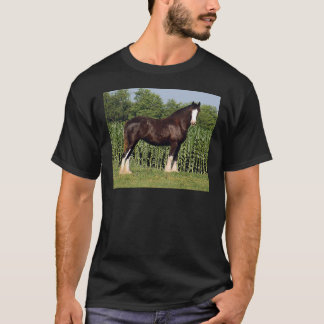 destiny T-Shirt