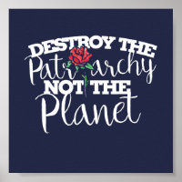 Destroy the Patriarchy not the Planet Feminist