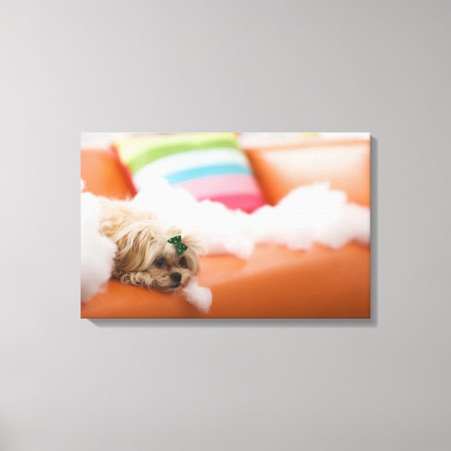 Destructive dog canvas print (Front)