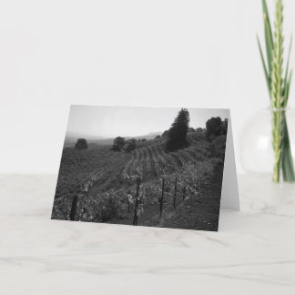 Detail, Draper Vineyards near St. Helena, 1966 Card