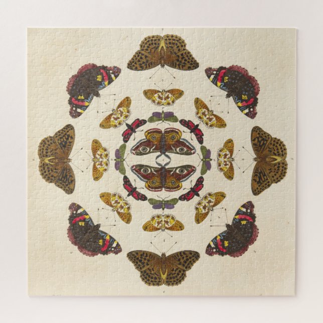 Detail from Plate VII Jigsaw Puzzle (Horizontal)