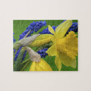 Detail of daffodil and hyacinth flowers. Credit Jigsaw Puzzle