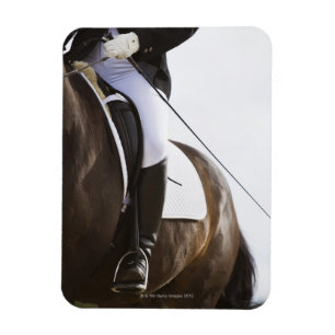 detail of female dressage rider on horse magnet