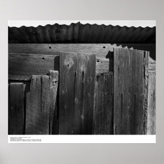 Detail of Fence, UC Santa Cruz, 1963 Poster