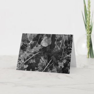 Detail of Grapes, Draper Vineyard, Napa, 1966 Card