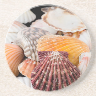Detail Of Seashells From Around The World 2 Coaster