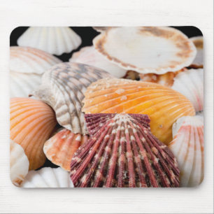 Detail Of Seashells From Around The World 2 Mouse Pad